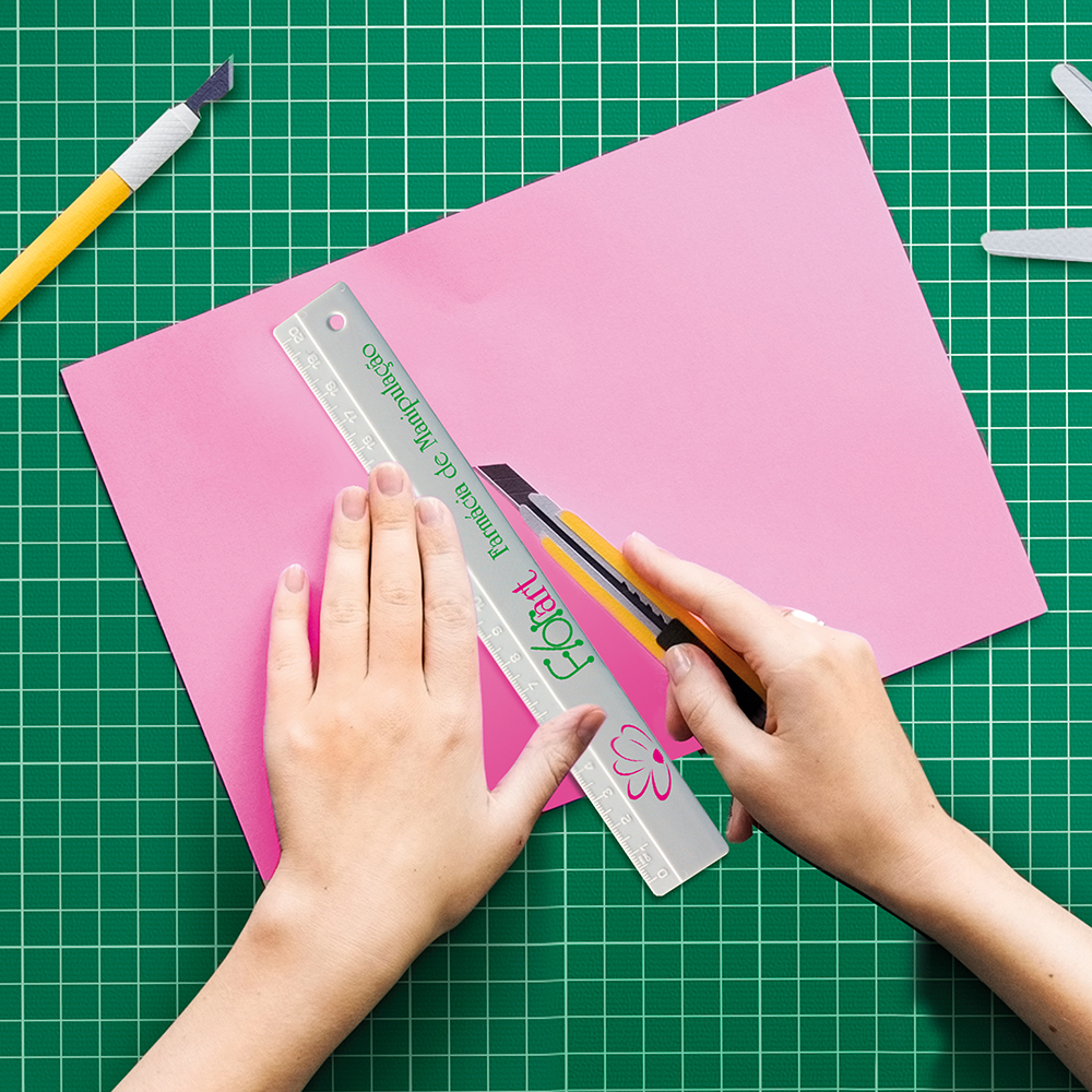 20cm joonlaud koos reljeefse skaalaga / Ruly